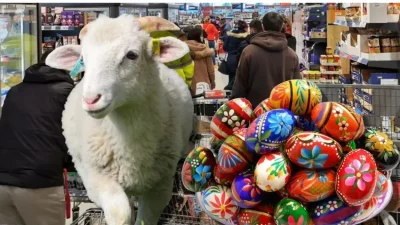 Prețurile ouălor din România ar putea să crească cu până la 30% înainte de Paști din cauza crizei aviare și a factorilor economici internaționali