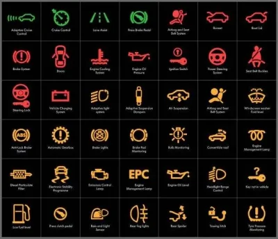 Martorii de Bord la Mașină și Importanța Lor