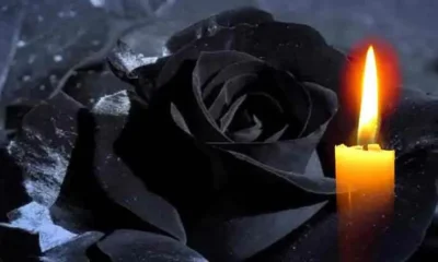 A murit radu stroe, fost ministru de interne și parlamentar cu vechime, la 75 de ani!