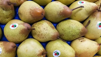 Fructul care costă cât o pâine, dar îți curăță ficatul și rinichii. Toți românii îl ignoră.