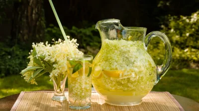 Socata, băutura miraculoasă a verii! Rețeta simplă care te răcorește și îți aduce beneficii nebănuite pentru