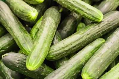 Atenție, grădinari! Cum poți proteja castraveții de dăunători cu un truc simplu și natural!