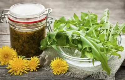 Atenție! Păpădia, planta-minune care tratează diabetul, cancerul și curăță sângele – rețete și beneficii uimitoare!