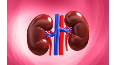 Dacă rinichii tăi nu funcționează corect, corpul îți transmite aceste 10 semne