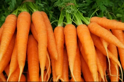 Morcovul, alimentul minune pentru detoxifierea ficatului și curățarea intestinelor! Ce beneficii ascunde pentru sănătate?