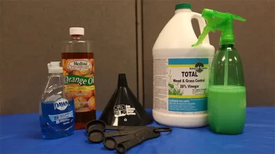 Rețetă simplă de săpun insecticid de casă! Scapă rapid de insectele nedorite din grădină și plantele de apartament