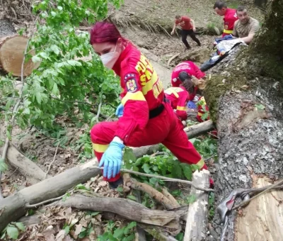 Tractorist mort în Moșoaia: accident fatal în pădure, dosar penal deschis