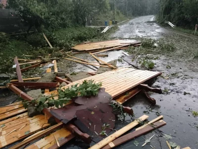 Cod portocaliu de furtună în Cluj: Pompierii intervine după arbori și cabluri căzute