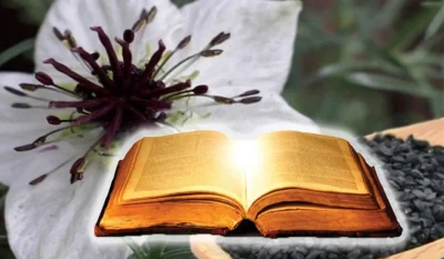 Planta pomenita in Biblie si in Coran despre care se spune ca vindeca orice boala