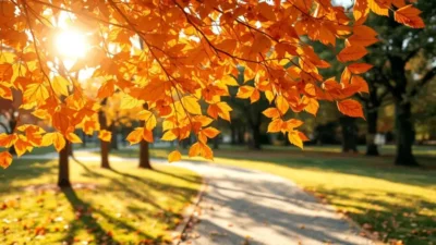 ALERTĂ METEO: Valurile de căldură de 33°C lovesc România până pe 10 septembrie, urmate de răciri bruște și ploi neprevăzute!