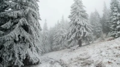Lovitură de iarnă în septembrie! Temperaturile cad brusc cu până la 15°C, primele ninsori lovesc munții începând de joi