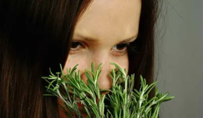 Planta puternica, excelenta pentru creier, inima, vase, piele, par si silueta. Elimina si stresul