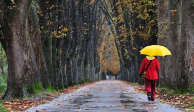 Vine cu adevărat toamna! ANM anunță schimbări majore de vreme: temperaturi în scădere și ploi!
