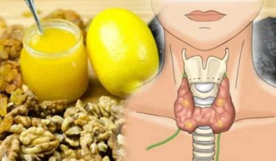 7 alimente care ajuta la imbunatatirea functiei tiroidiene