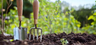 Secretul grădinarilor pentru o recoltă uriașă de dovlecei. Ce trebuie să pui în groapă la plantare pentru rod bogat