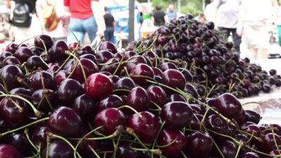 Cireșele au APĂRUT deja în piețe, însă un singur kilogram COSTĂ…