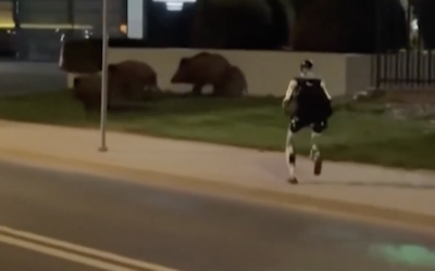 MILIOANE de oameni urmăresc acest ROBOT care a început să vâneze…