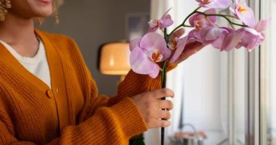 Floarea care îți SALVEAZĂ relația și atrage PROSPERITATEA dacă o pui în dormitor este…