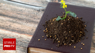 SEMNIFICAȚIA ascunsă a plantelor menționate în Biblie: de ce sunt amintite chiar ACUM…
