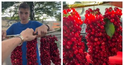 Gest incredibil pentru un băiat care vindea cireșe pe marginea drumului. Ce a primit după ce a fost filmat