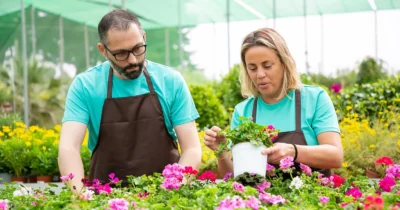 Adio buruieni din curte și grădină! Trucul banal care le distruge în câteva minute cu un singur ingredient din bucătărie