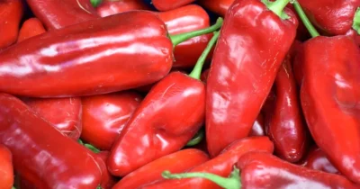Pune asta la rădăcina ardeilor în iulie pentru fructe uriașe și cărnoase. Secretul marilor grădinari pentru o recoltă bogată