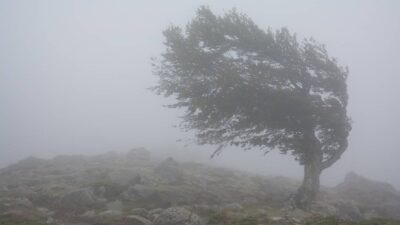 Prăpăd în România! Vin ploile torențiale și vijeliile, 12 județe sunt vizate de vântul puternic chiar de azi