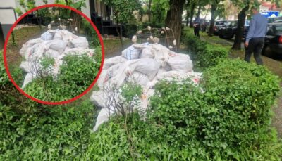 Ce a putut să facă un piteștean lângă un bloc de pe Calea București! Poliția a venit imediat și l-a ars la buzunar
