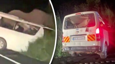 Impact nimicitor cu un elefant în mijlocul drumului. Trei pasageri au murit pe loc după ce microbuzul a fost spulberat