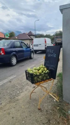 Un șofer a lăsat o lădiță cu pere pe DN73. Ce a găsit în ea după ce s-a blocat traficul