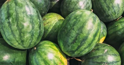 Pata galbenă de pe pepene, indiciul de aur! Cum să alegi cel mai dulce fruct din piață folosind acest truc
