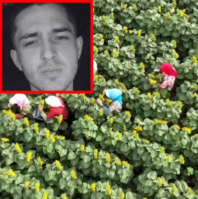 Tragedie în Italia. Un tânăr român de 19 ani a murit după ce i s-a făcut rău pe un câmp din cauza caniculei