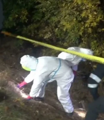 Crimă în Bulgaria. Cinci adolescenți au torturat și ucis un bărbat după o întâlnire stabilită online