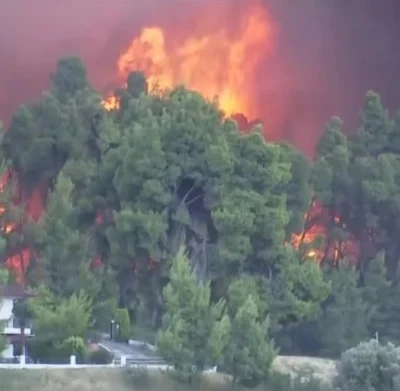 Incendiu de proporții în Halkidiki. Sute de turiști evacuați de urgență din calea flăcărilor