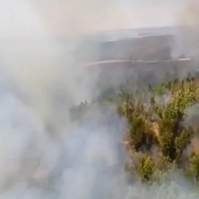 Sute de hectare de teren au ars în Timiș. Pompieri din turele libere, chemați să stingă flăcările