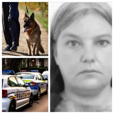 Femeie din Bihor, dată dispărută acum o săptămână, găsită fără viață pe un câmp și într-o fermă