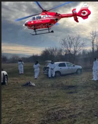Teroare! Fosta ministră, răpusă violent cu cioca…