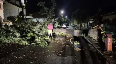 Furtuni puternice și pagube în sudul țării. Trombă marină la Mamaia și străzi blocate la Oltenița
