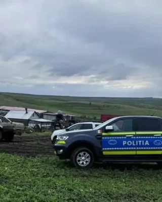 Tragedie la o stână din Botoșani. Un cioban de 62 de ani a fost găsit decedat de patronul fermei