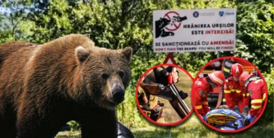 ALERTĂ! URȘII au făcut DEZASTRU! Gospodării atacate și animale…