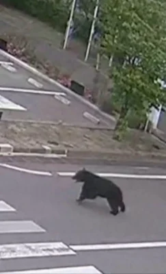 DOAMNE FEREȘTE! Bărbat mâncat de urs în B…