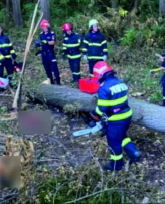 TRAGEDIE în Prahova! Femeie de 77 de ani, găsită MOARTĂ pe munte după dispariție