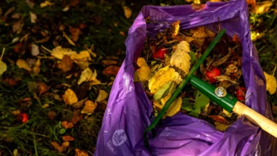 ATENȚIE, români cu curte! Unde trebuie să duceți FRUNZELE strânse și ce spune LEGEA!